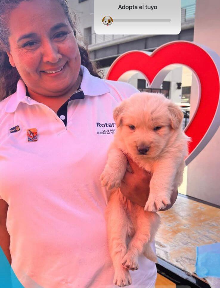Adopción de mascota